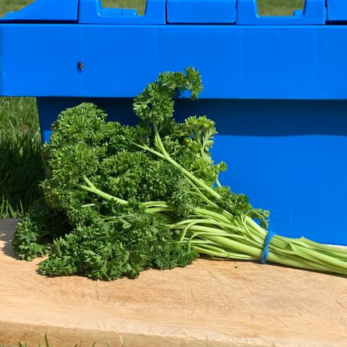 Photo de: Persil Botte 100gr